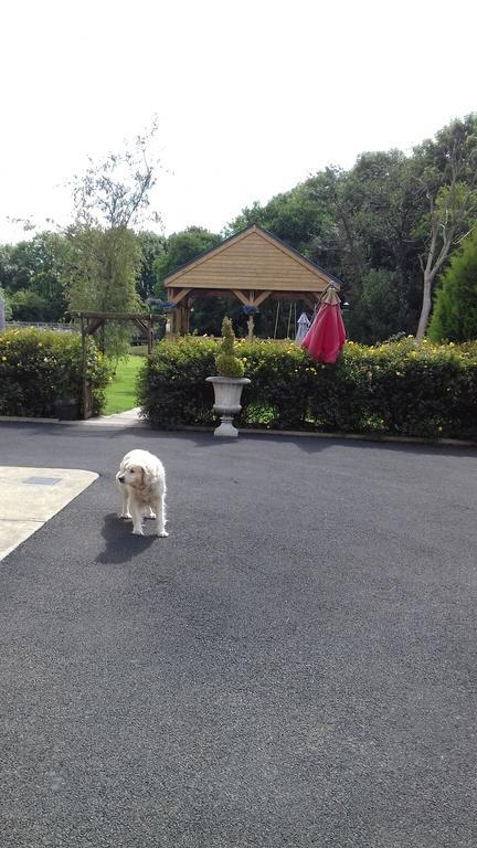 Woodlands House Bed and Breakfast Farranfore Εξωτερικό φωτογραφία